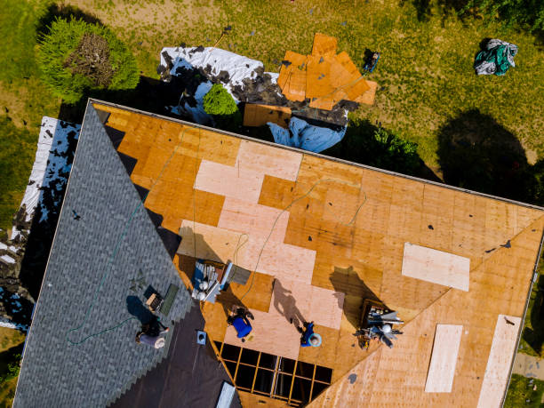 Best Storm Damage Roof Repair  in Mayodan, NC