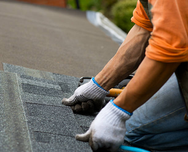 Best Local Roofing Companies  in Mayodan, NC