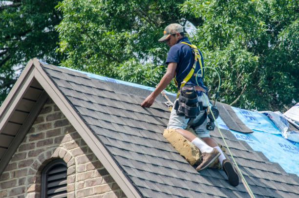 Roof Waterproofing Services in Mayodan, NC